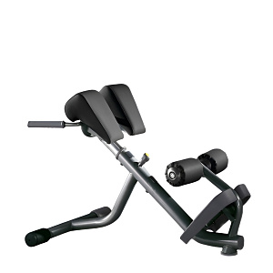 Technogym Lower Back Bench