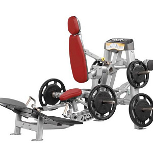Купить Силовой тренажер Hoist RPL-5356 (Free Weights) в Москве