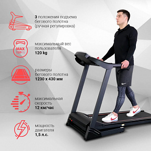 Купить Беговая дорожка Everyfit 74305A в Москве