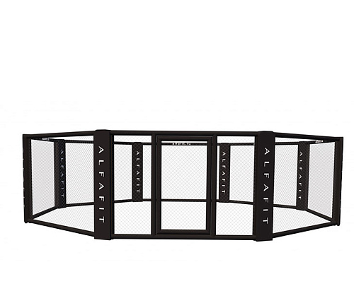 Купить Октагон напольный AlfaFit без мягкого настила и покрытия в Москве