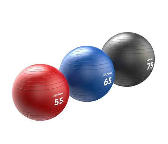 Фитбол Life Fitness Stability Ball