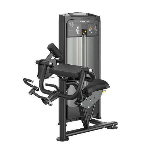 Бицепс (сгибание) Smith Fitness Excellence RE8006 Купить Бицепс (сгибание) Smith Fitness Excellence RE8006 в Москве
