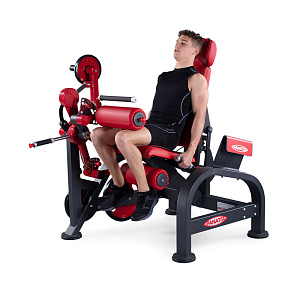 Купить Нагружаемый дисками тренажер Panatta FreeWeight Special 1FW183 в Москве