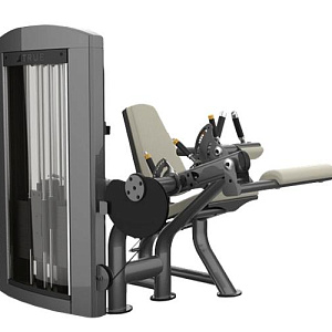 Купить Силовой тренажер True Fitness SPL-0200 Сгибание ног сидя в Москве