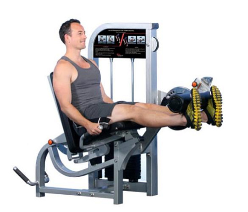 Сгибание / Разгибание ног сидя Realleader PF-1007