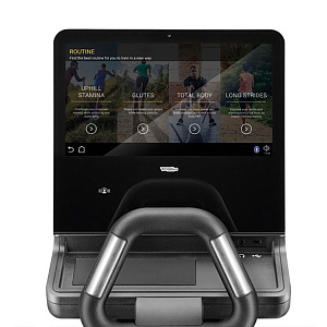 Купить Эллиптический тренажер Technogym Synchro Artis в Москве