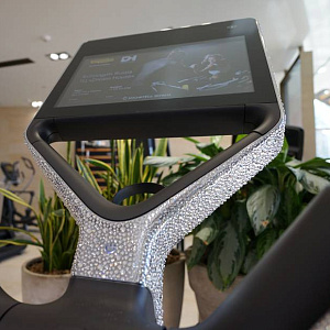 Купить Эллиптический тренажер Technogym Cross Personal + Swarovski в Москве