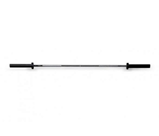 Гриф олимпийский Technogym B011 с вращающейся поддержкой 1500 мм