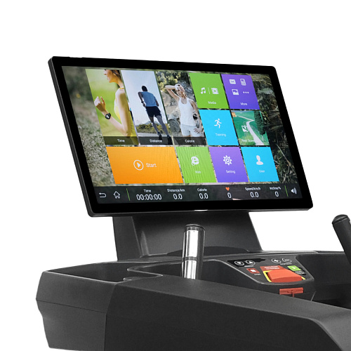 Беговая дорожка Bronze Gym T1000M PRO TFT TURBO (NEW)