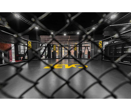 Октагон Targex на помосте 1 м 700х700х100