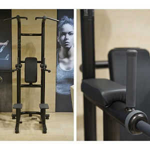 Купить Technogym Chin Up Dip Leg Raise	 в Москве