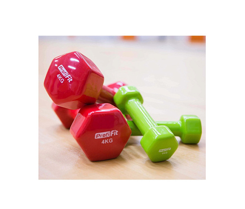 Гантель в виниловой оболочке Original FitTools PROFI-FIT 4 кг