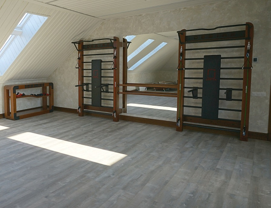 Шведская стенка с эспандерами, брусьями, скамьей и балетным станком Desire Eco Double Stretch фото1