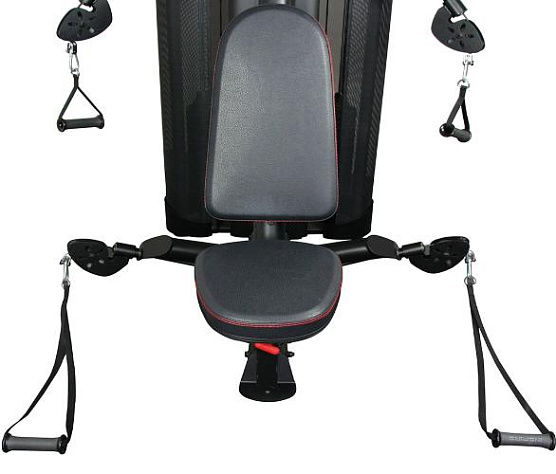 Грудь и плечи Inspire DMCS фото1