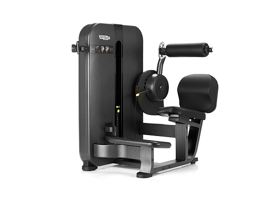 Гиперэкстензия Technogym Artis Lower Back фото2