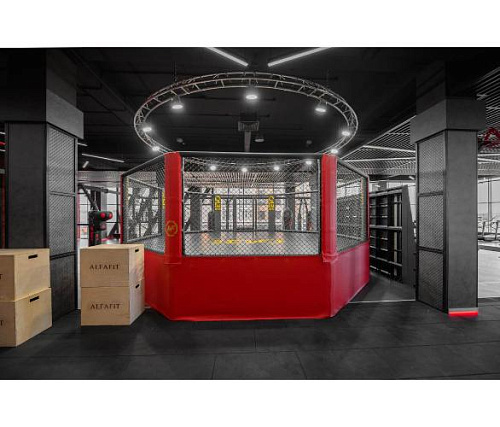 Октагон Targex на помосте 1 м 700х700х100