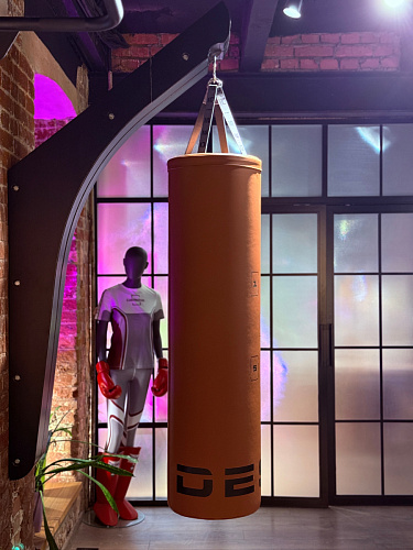 Боксерский мешок капсульный Desire Box Punch