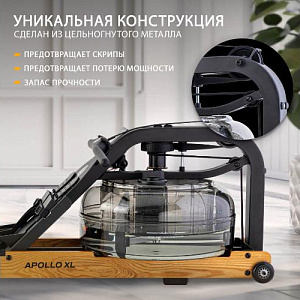 Купить Гребной тренажер First Degree Fitness Apollo XL в Москве