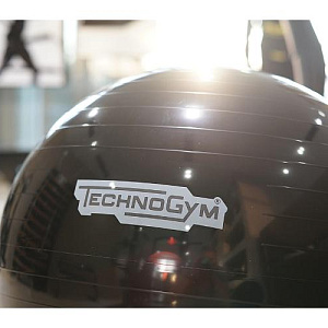Купить Technogym Мяч Wellness  в Москве