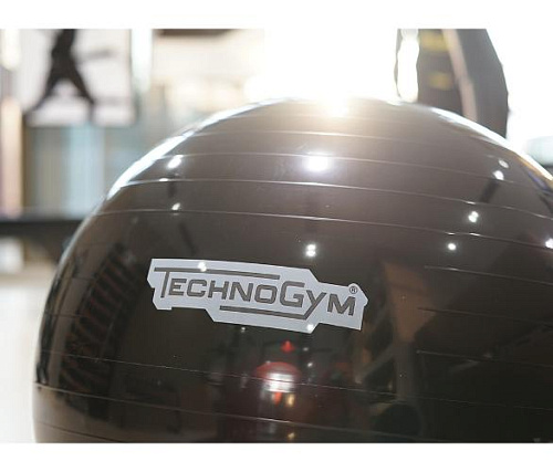 Мяч для фитнеса Technogym Wellness