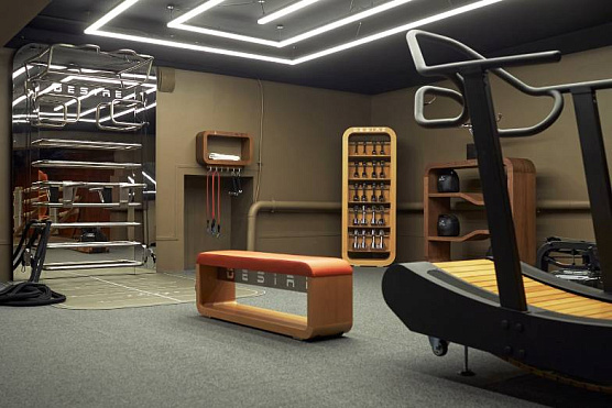 Многофункциональный комплекс с зеркальной стенкой и элементами из нержавеющей стали Desire Prime Vision фото2