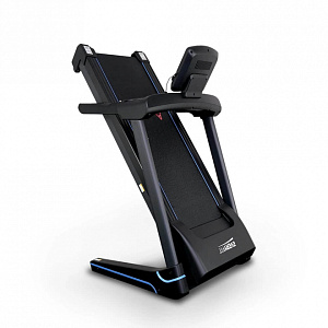 Купить Беговая дорожка Everyfit 74203B в Москве