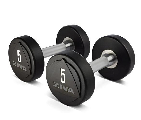 Гантели уретановые Ziva ZVO-DBPU-1688 9 кг (пара)