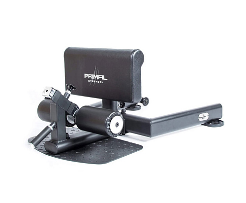 Купить Приседания Sissy Primal PSAC0128 в Москве