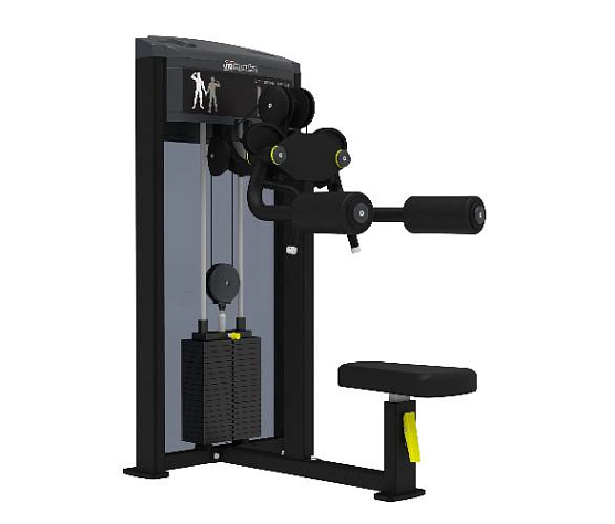 Дельтовидные мышцы Aerofit Impulse IF9324