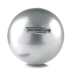 Купить Technogym Мяч Wellness  в Москве