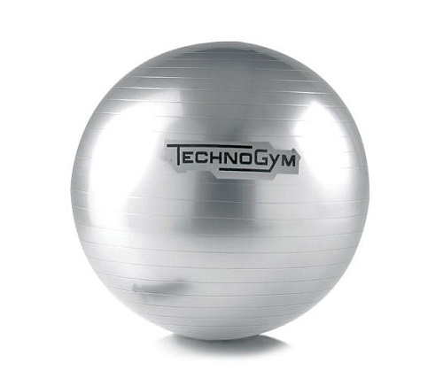 Мяч для фитнеса Technogym Wellness