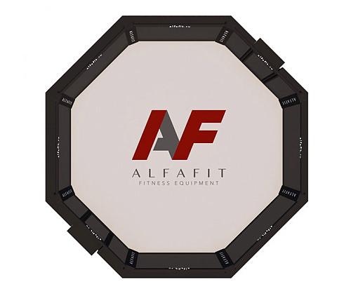 Октагон соревновательный AlfaFit на помосте высотой 1 м