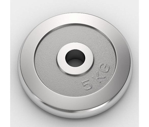 Купить Диск хромированный Unix Fit 5 кг / 25 мм в Москве