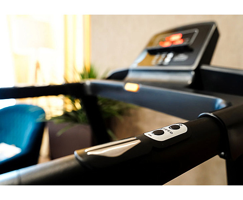 Беговая дорожка Hasttings Silver