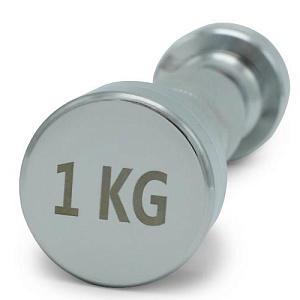 Купить Unix Fit PRO гантель круглая хромированная 1 кг / шт. в Москве