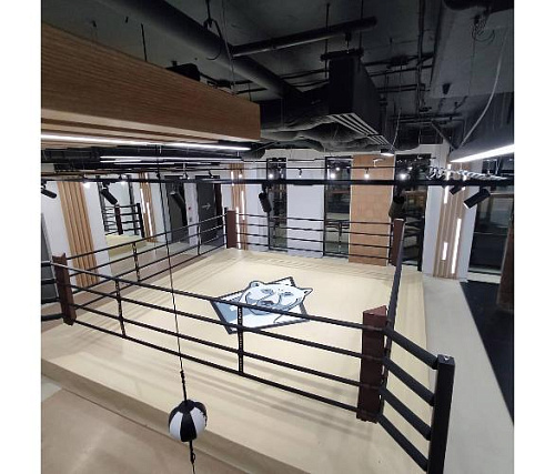 Ринг боксерский Targex на помосте 0,3 м 700х700х30