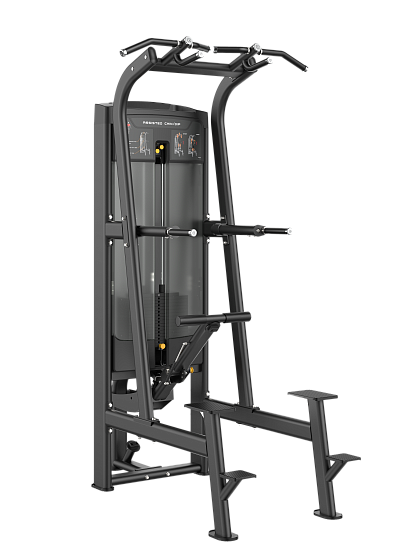 Гравитрон Smith Fitness Excellence RE8008 Подтягивание/Отжимание с помощью