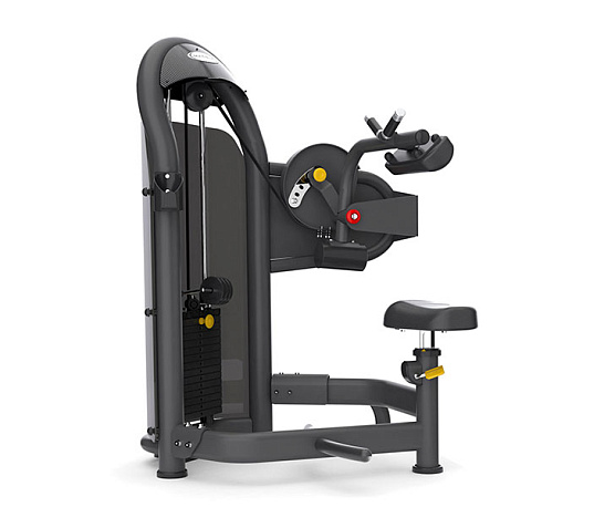 Грузоблочный тренажер для пресса и торса Matrix Fitness Aura G3-S50-02 Пресс-машина