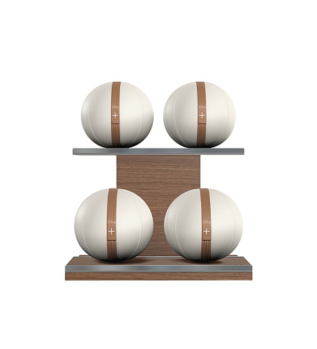 Набор медболов со стойкой Pent MOXA Power