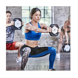 Купить Original FitTools Диск 10 кг Reebok для аэробической штанги 10 кг RSWT-16090-10 в Москве