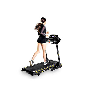 Купить Беговая дорожка Ultra Gym Altezani ALS 1100 в Москве