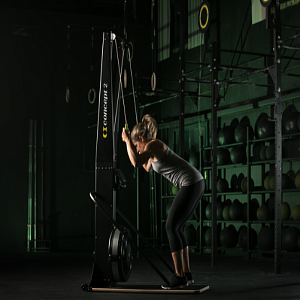 Купить Concept 2 SkiErg PM5+подставка Лыжный тренажер в Москве