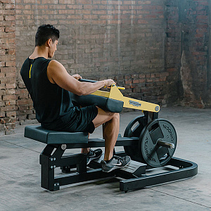 Купить Нагружаемый дисками тренажер Technogym PURE STRENGTH Seated Calf в Москве