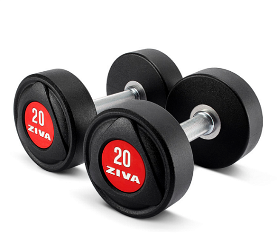 Гантели уретановые Ziva ZSL-PUDB-7373-RD 50 кг (пара)