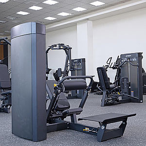 Купить Грузоблочный тренажер Spirit Fitness SP-4315 Ягодичный мостик в Москве