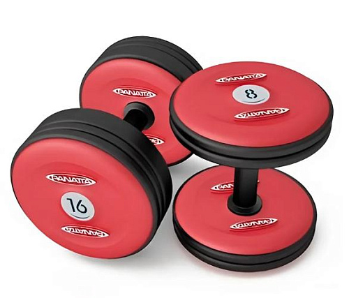 Купить Гантели Panatta 1MF18 18 кг в Москве