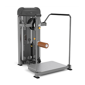 Купить Силовой тренажер Anyfit Глют-машина PE209-123 в Москве