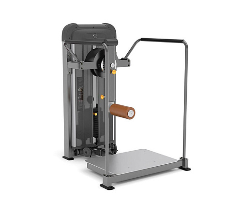 Купить Глют-машина Anyfit PE209-96 в Москве