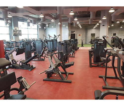 Жим ногами Spirit Fitness SP-3509 стек 140 кг