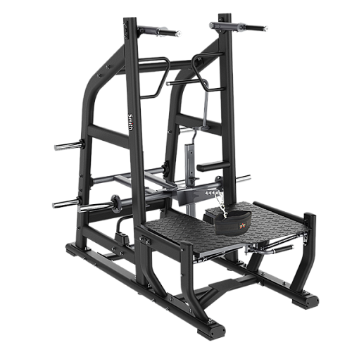 Приседания с поясом (колодец) Smith Fitness Excellence SH039 Купить Приседания с поясом (колодец) Smith Fitness Excellence SH039 в Москве